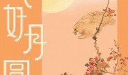 花好月正圆在线观看,浪漫月色下的情感纠葛与成长历程