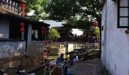 滋味小镇在线观看,在线品味独特风味，畅游美食天堂